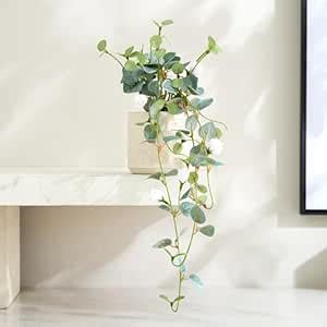 Buy Home Centre Gloria Drape Artificial Rose Bud Hanging Creeper in ...