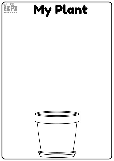 Plant Colouring Sheets