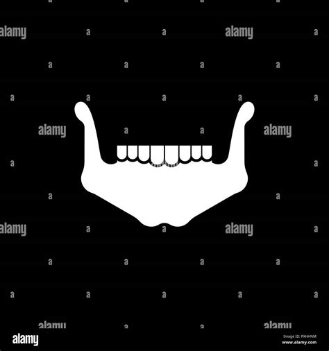 Ramus of mandible hi-res stock photography and images - Alamy