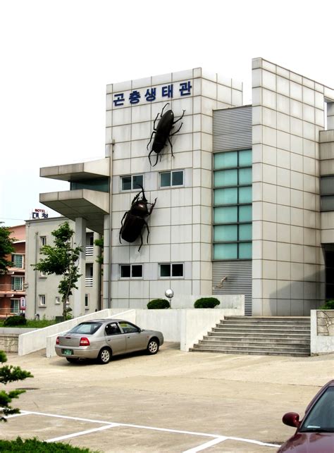 microbe — Sokcho, South Korea