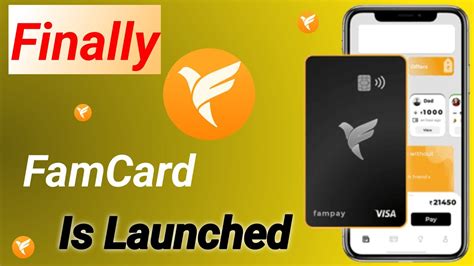 Image result for Fampay Debit Card