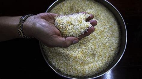 The Swim News | Read smart save time. Read key points of news and skip ...