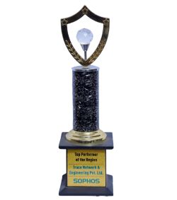 Trace Network & Engineering Pvt Ltd