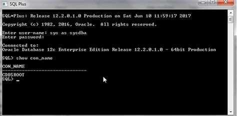 How to Use SQL Plus 的图像结果