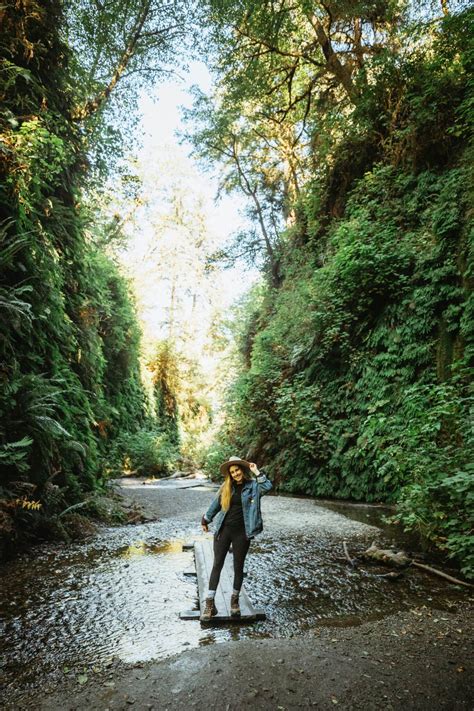 How To Find Fern Canyon Trail (2024 Permits Details) - The Mandagies