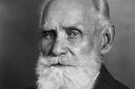 Ivan Pavlov: Life, Research, Classical Conditioning