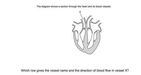 The diagram shows a section through the heart and its blood vessels ...