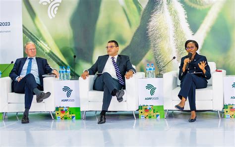 NMB Local Economic Development 的图像结果