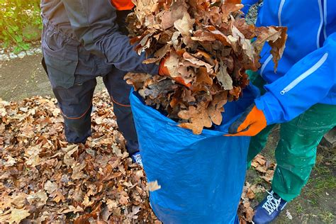 Image result for Garden Waste Collection
