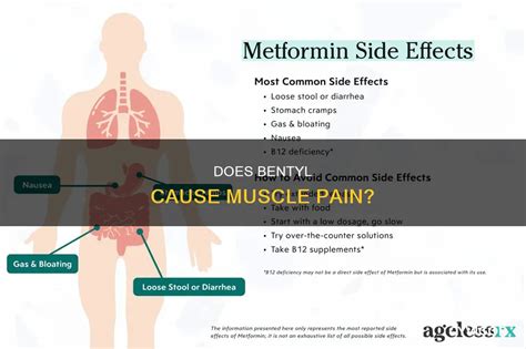 Does Bentyl Cause Muscle Pain? | CyVigor