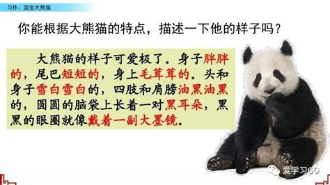 熊猫的拼音怎么写,识字,河南_大山谷图库
