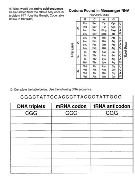 DNA Coding of Protien Tutorial 的图像结果