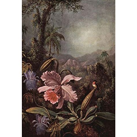 Art Panel - Orchids, Passion Flowers and Hummingbirds by Martin Johnson ...