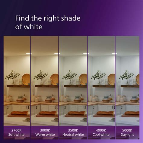 Philips Lighting LED Master Philips Ultra Definition LED 60-Watt A19 ...