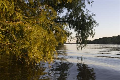 Lake Fausse Pointe — Atchafalaya National Heritage Area
