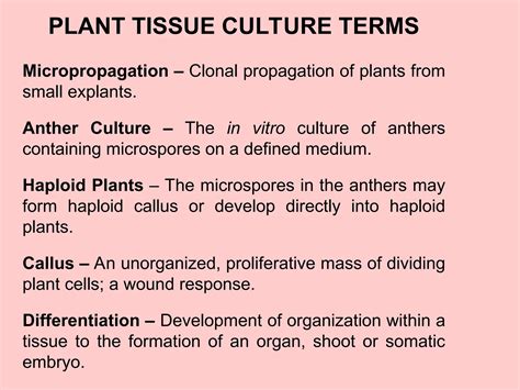 Are Plants Organized Or Unorganized? The Surprising Truth About Plant Intelligence