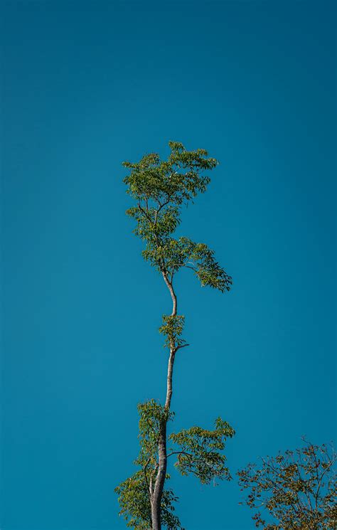 Dog+Knot+Pull+Out+Compilation Photos, Download The BEST Free Dog+Knot ...