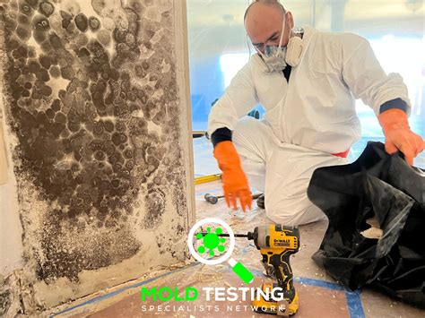 Image result for Mold Testing Santa Barbara