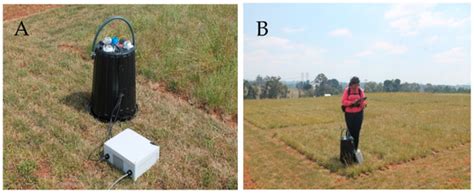 Field Spectroscopy to Determine Nutritive Value Parameters of ...
