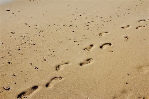 Free Images : sea, sun, footprint, soil, material, tracks in the sand ...