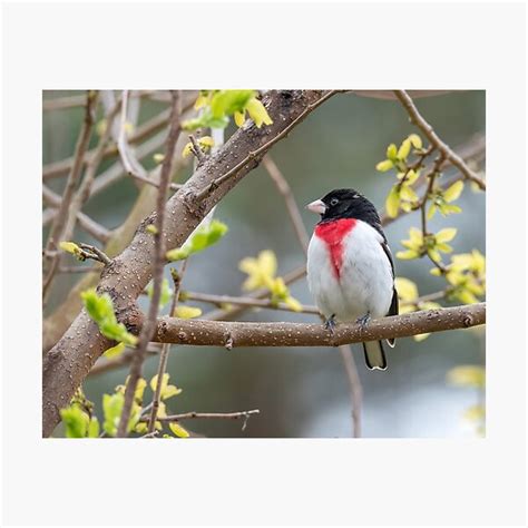 Image result for Class 10 Science Chapter 8 by Success CDs