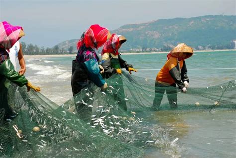 Bangpra湖渔民在捕鱼时采高清图片下载-正版图片504803294-摄图网