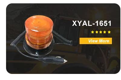 Company Overview - Foshan Xing Yuan Auto Accessories Co., Ltd.