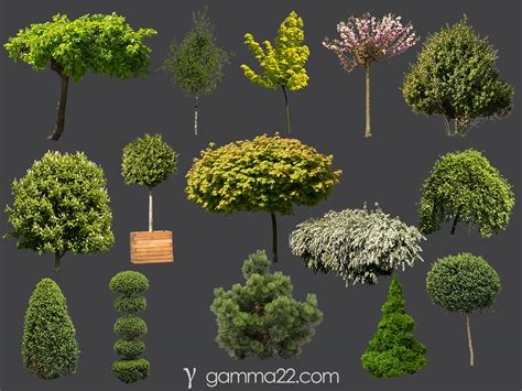 Image result for Cut Out Tree Patterns