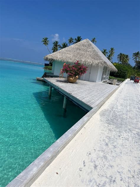 SUN SIYAM OLHUVELI (Olhuveli Island) - Resort Reviews, Photos, Rate ...