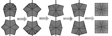 Square-1 Tutorial 的图像结果