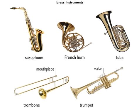Image result for Different Types of Horns Instruments