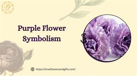 Purple Flowers and Their Symbolic Significance – Tinas Flowers & Gifts
