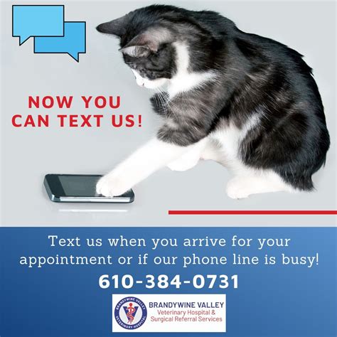 Coatesville, PA 19320 Veterinarian | Brandywine Valley Veterinary Hospital