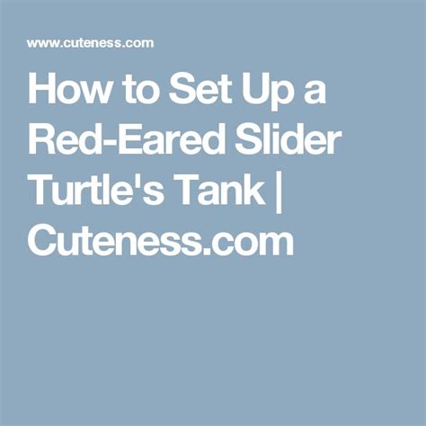 Image result for Red Ear Slider Turtle Tank Setup