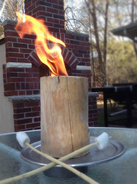 Image result for One Log Fire Log