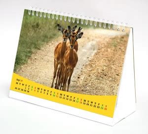 Thomson Press calendar 2016-2017 Table Calendar Price in India - Buy ...