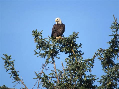 Monday Mountaineers! Stony Lake loop with Stony Brook & BMT, Stony Lake ...