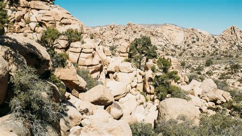 Joshua Tree National Park Vacation Rentals | Lake.com