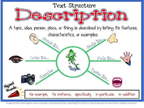 Exposition Text Structure 的图像结果