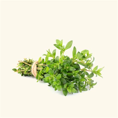 Buy Thyme Essential Oil Online in India | Bulk Manufacturer & Wholesale ...