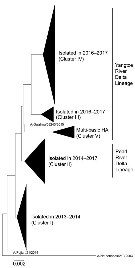 Characterization of Mouse Monoclonal Antibodies Against the HA of A ...