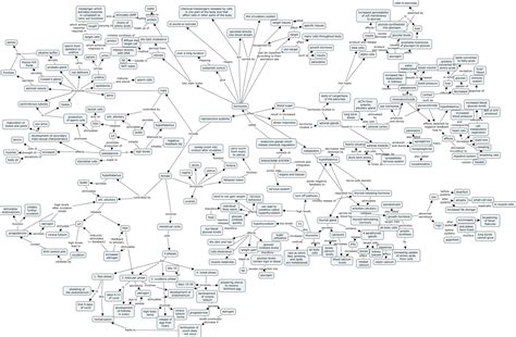 Endocrine System Concept Map | Endocrine system concept map worksheet ...