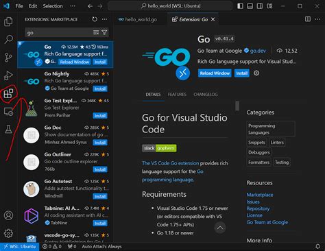 Image result for vs Code Visual Go