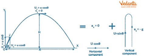 Image result for Calculus Equation for Projectile Motion