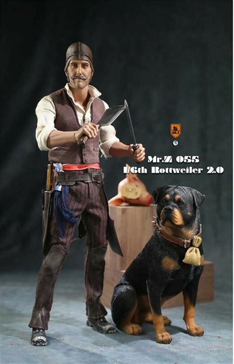 Rottweiler Police Dog In Action