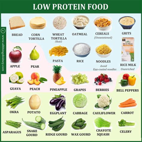 protein diet recipes