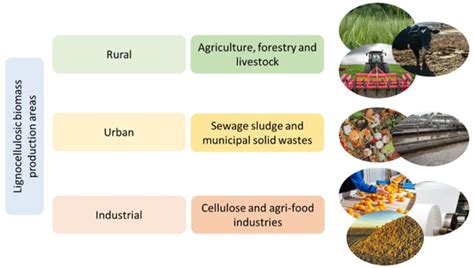 Improvement of Anaerobic Digestion of Lignocellulosic Biomass by ...