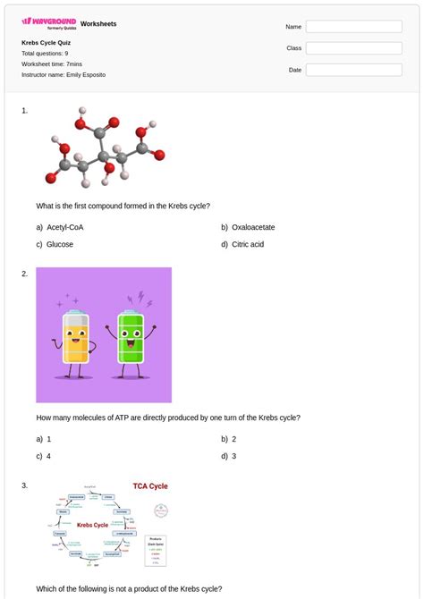 50+ Krebs Cycle worksheets for Class 10 on Wayground | Free & Printable