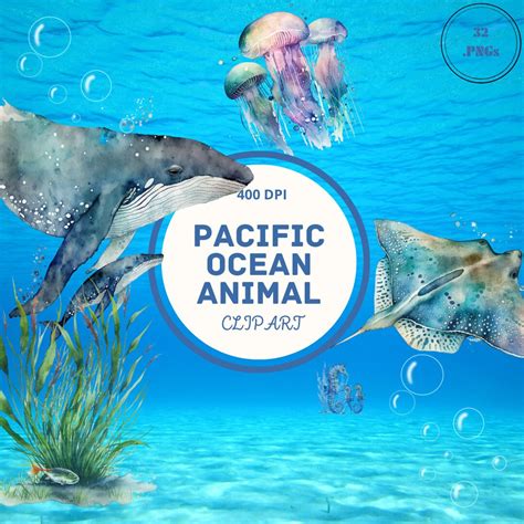 32 Pacific Ocean Animal Watercolor Clipart, Commercial Us E, Instant ...