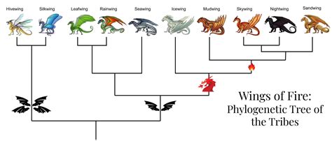 A phylogenetic tree of the tribes in Wings of Fire (made by an ...